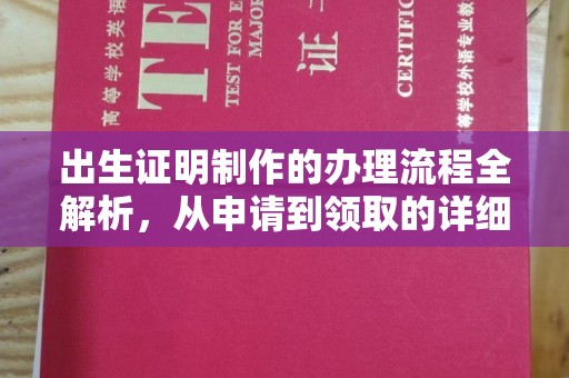 盐湖出生证明制作的办理流程全解析，从申请到领取的详细指南